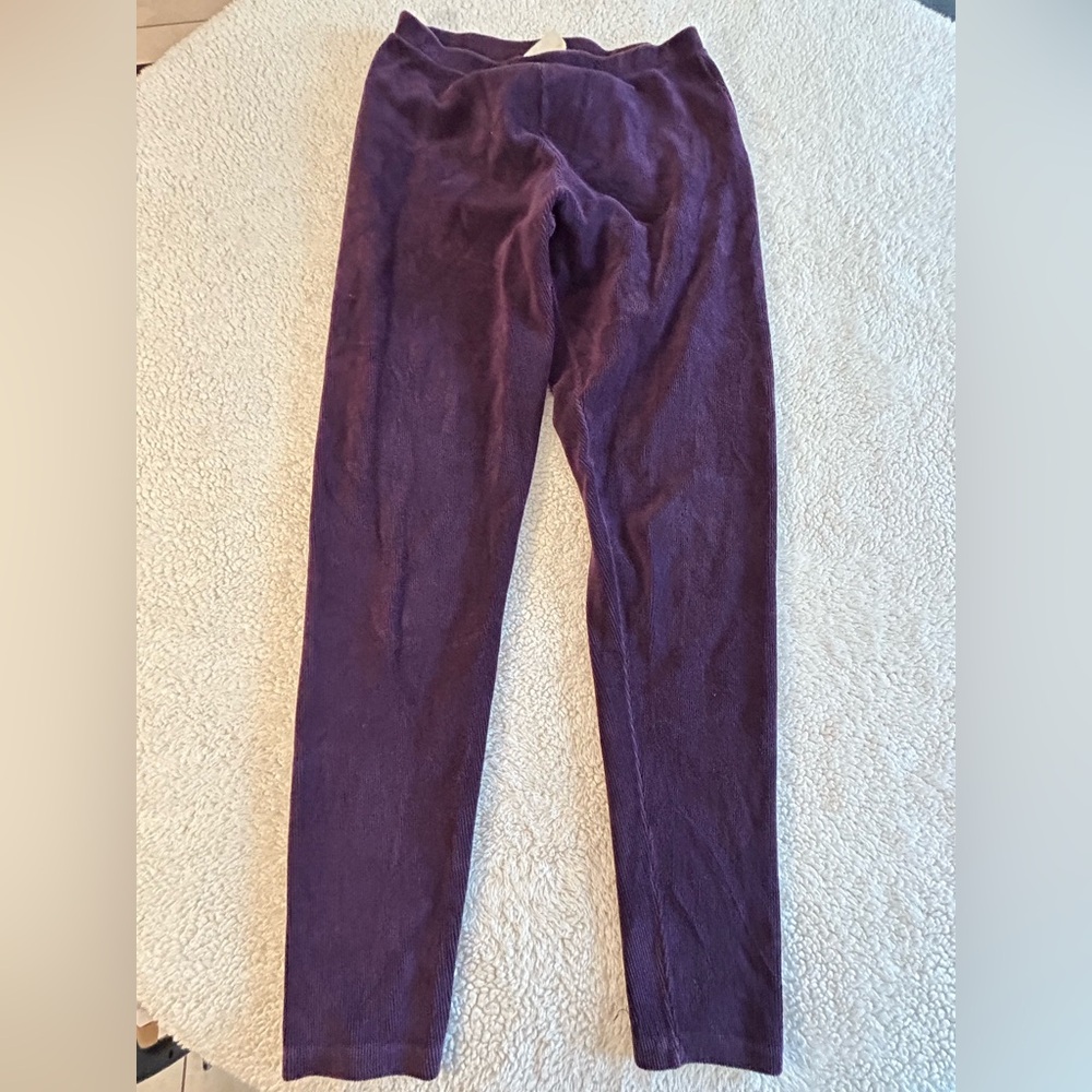 Express Tricot 90s Velour‎ Velvet Leggings